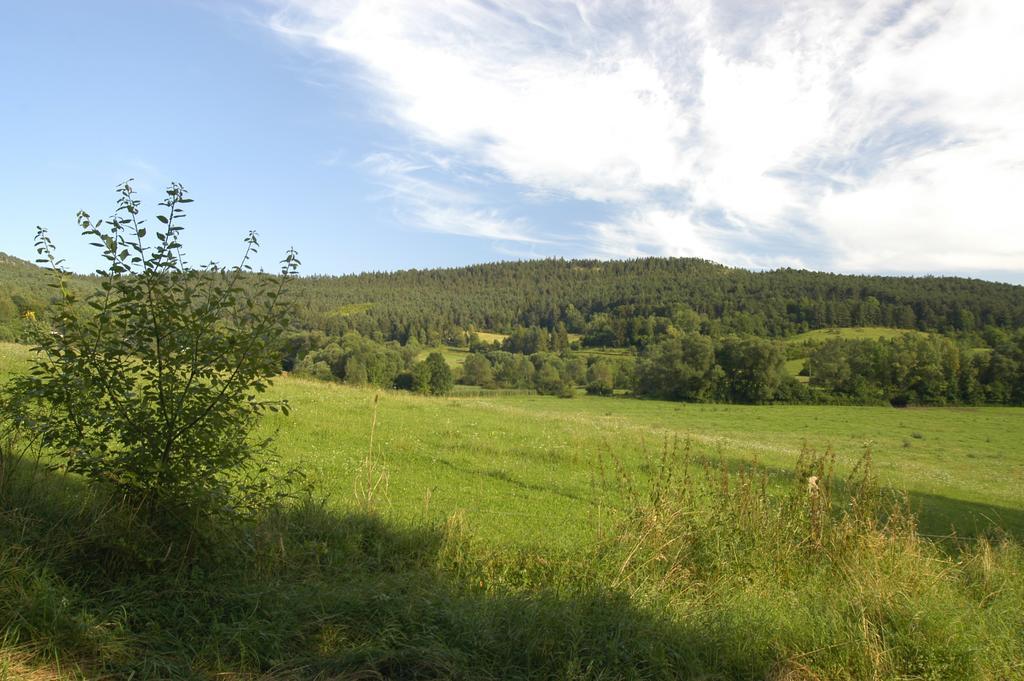 Ferienanlage Reinsberger Dorf Plaue  Zewnętrze zdjęcie